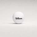 Wilson