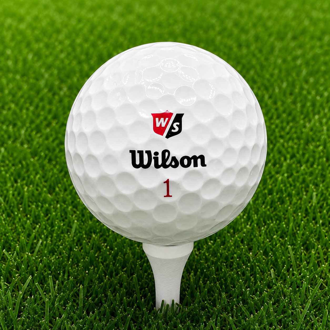 Wilson